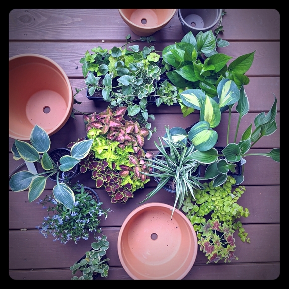 Meet the Posher Other - Meet your Posher, McKenzie